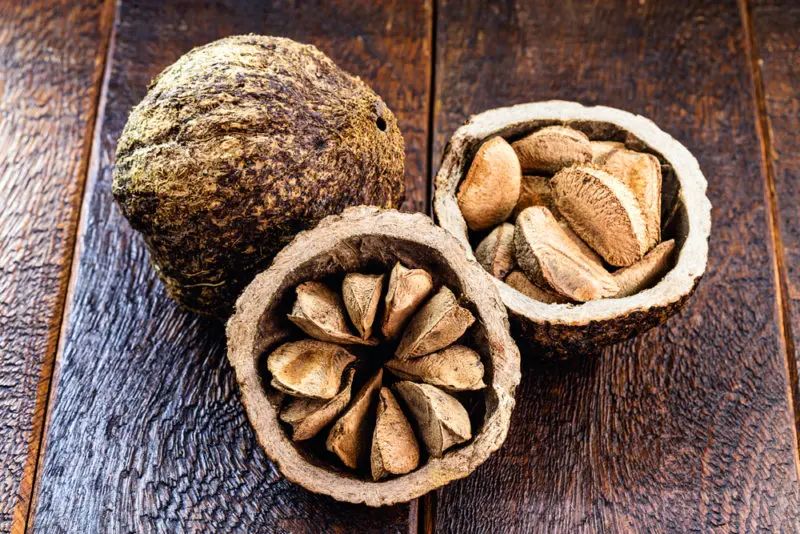 Noci del Brasile