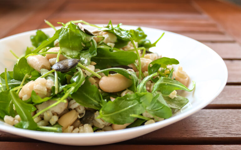 Insalata di orzo con fagioli cannellini, rucola e semi